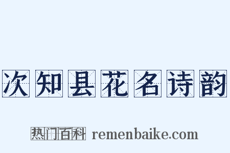 次知县花名诗韵是什么意思的图片